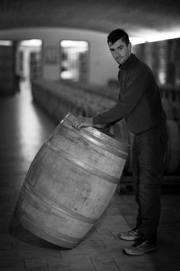 Il Roncal Wine Resort - For Wine Lovers Cividale Del Friuli Luaran gambar