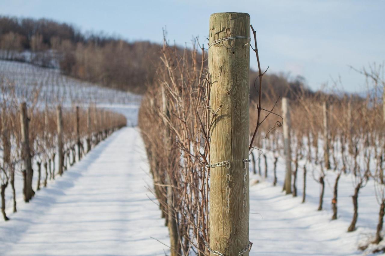 Il Roncal Wine Resort - For Wine Lovers Cividale Del Friuli Luaran gambar