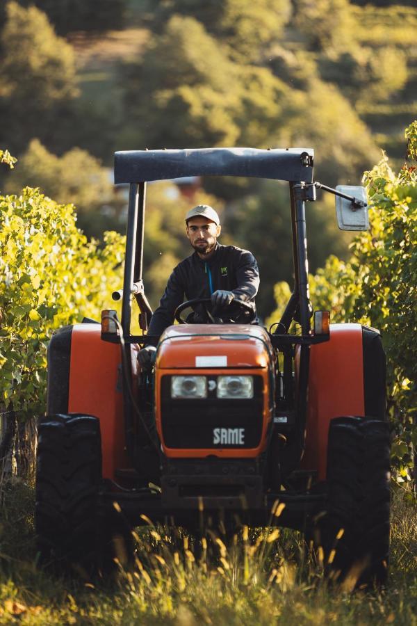 Il Roncal Wine Resort - For Wine Lovers Cividale Del Friuli Luaran gambar
