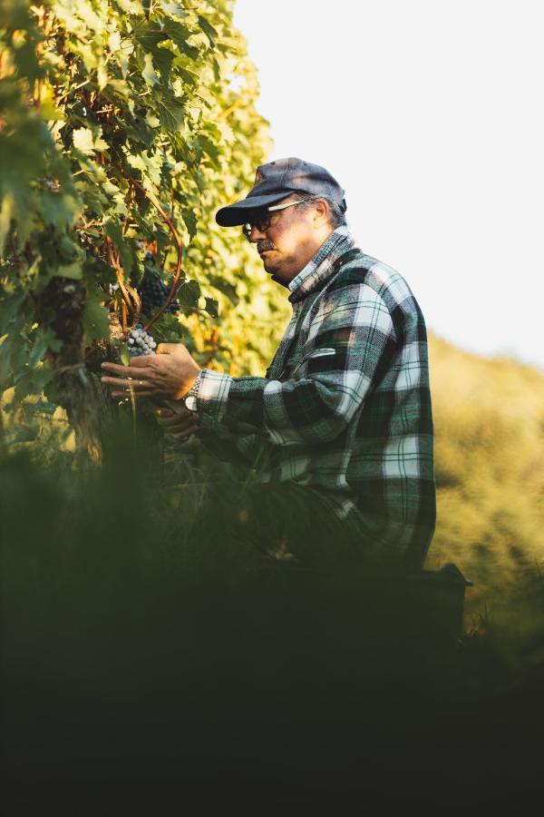 Il Roncal Wine Resort - For Wine Lovers Cividale Del Friuli Luaran gambar