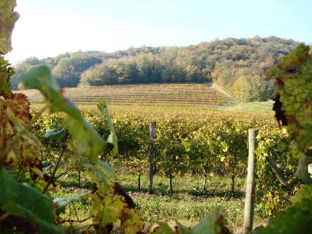 Il Roncal Wine Resort - For Wine Lovers Cividale Del Friuli Luaran gambar