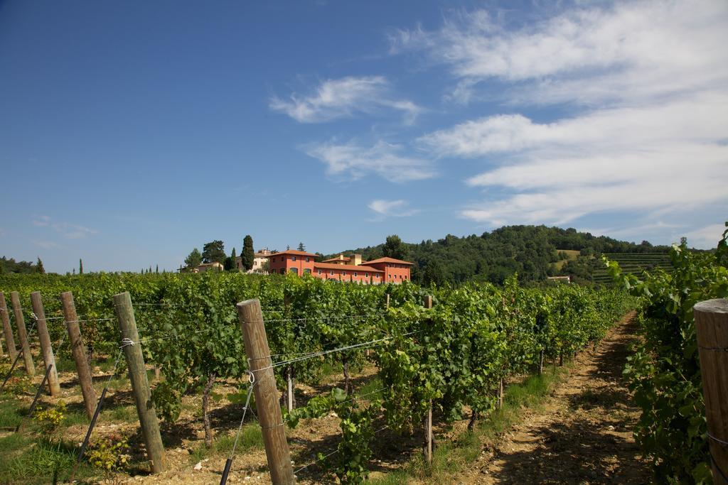 Il Roncal Wine Resort - For Wine Lovers Cividale Del Friuli Luaran gambar