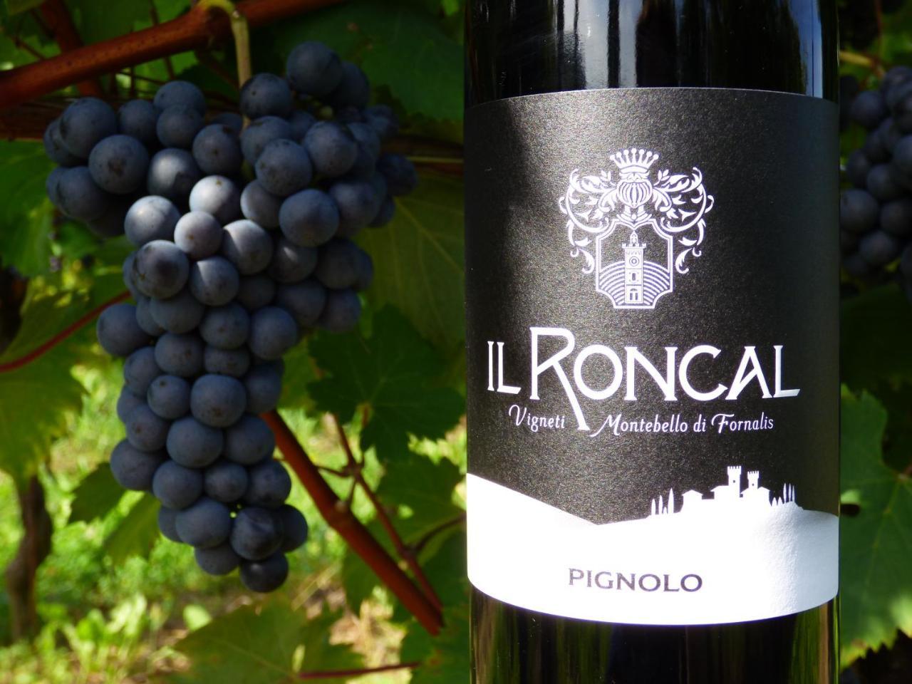 Il Roncal Wine Resort - For Wine Lovers Cividale Del Friuli Luaran gambar